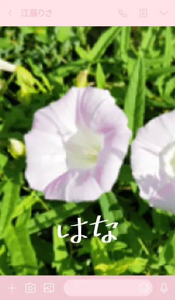 [LINE着せ替え] はな～きれいな花～の画像3