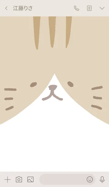 [LINE着せ替え] ねこ顔(茶白猫)の画像3