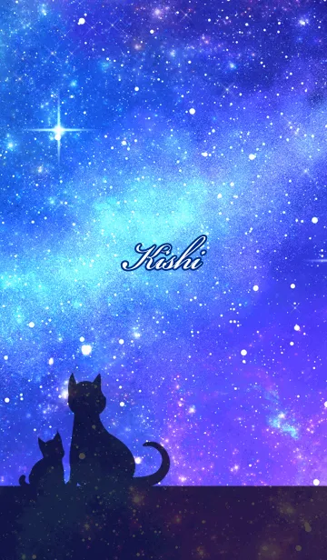 [LINE着せ替え] きし用★星空と猫シルエットの画像1