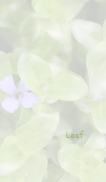 [LINE着せ替え] リーフのきせかえ9の画像1