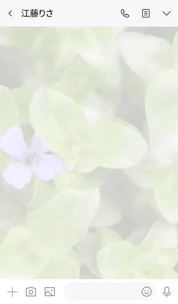 [LINE着せ替え] リーフのきせかえ9の画像3