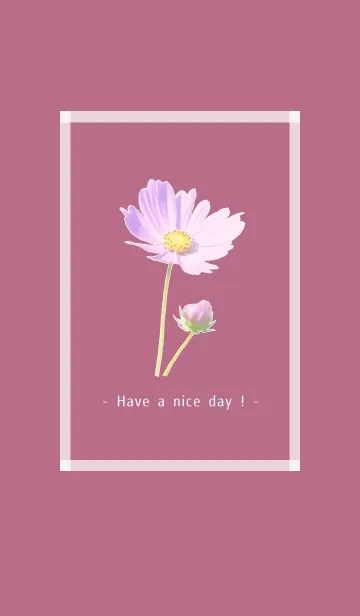 [LINE着せ替え] Pink Cosmos Theme -18-の画像1