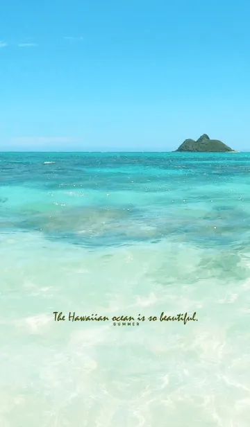 [LINE着せ替え] -Hawaiian ocean is so beautiful- 21の画像1