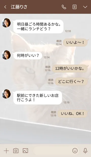 [LINE着せ替え] 野良猫のきせかえ1の画像4