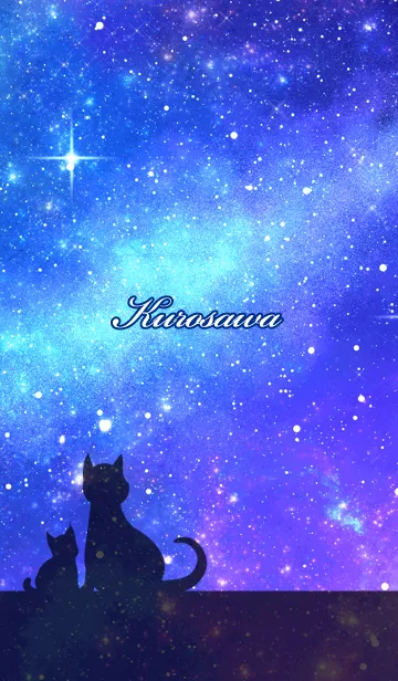 [LINE着せ替え] くろさわ用★星空と猫シルエットの画像1