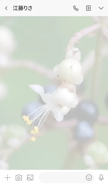 [LINE着せ替え] 花のきせかえ23の画像3