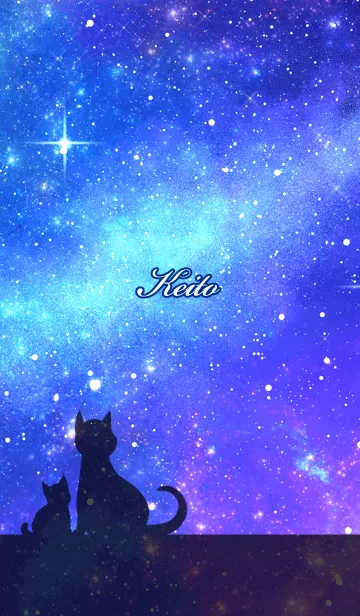 [LINE着せ替え] けいと用★星空と猫シルエットの画像1