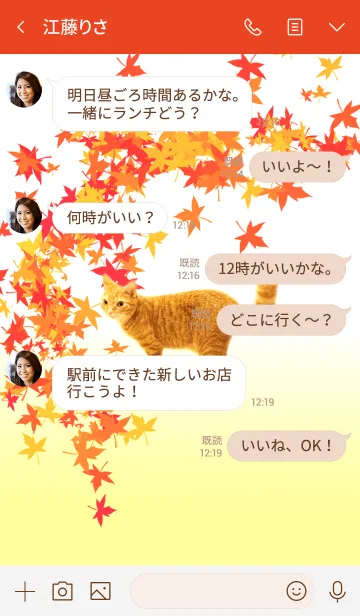 [LINE着せ替え] 猫ちゃんのいる秋の風景の画像4