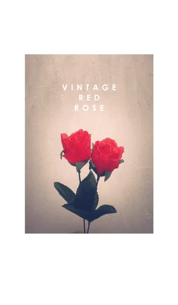 [LINE着せ替え] Vintage Red rose_1の画像1