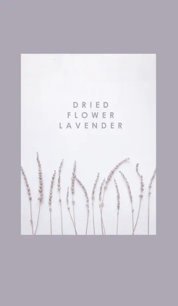 [LINE着せ替え] Dried flower_lavenderの画像1