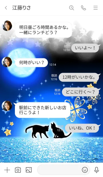 [LINE着せ替え] 恋愛成就♪幸運の黒猫と煌めく月と海の画像4