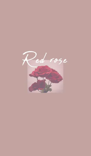 [LINE着せ替え] Vintage Red rose_2の画像1