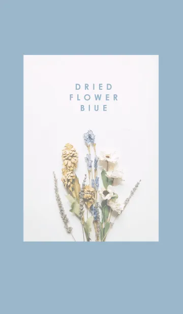 [LINE着せ替え] Dried flower_blueの画像1