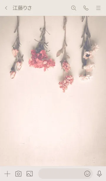 [LINE着せ替え] Dried flower_pinkの画像3