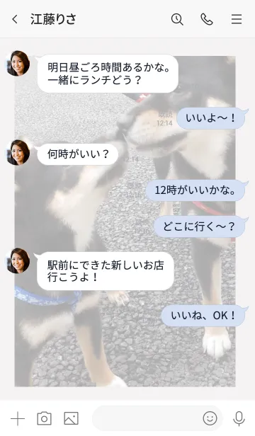 [LINE着せ替え] 黒柴犬クゥと、とあの画像4