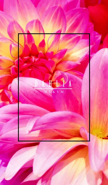 -DAHLIA flower- MEKYM 2の着せ替えメイン画像