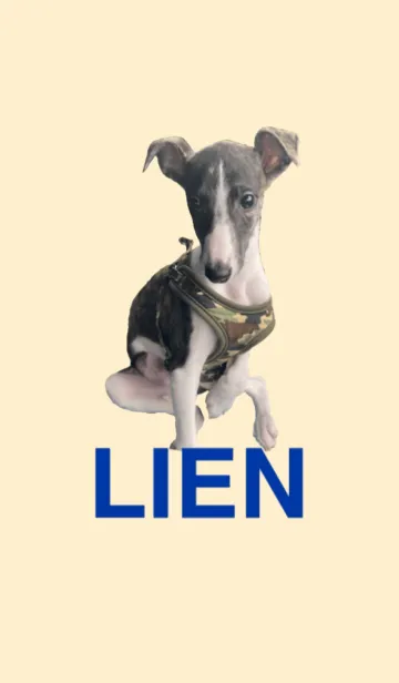 [LINE着せ替え] LIENのLINEの画像1