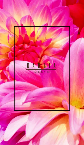 [LINE着せ替え] -DAHLIA flower- MEKYM 4の画像1
