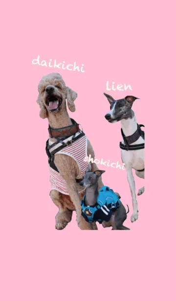 [LINE着せ替え] うちの子着せ替えの画像1