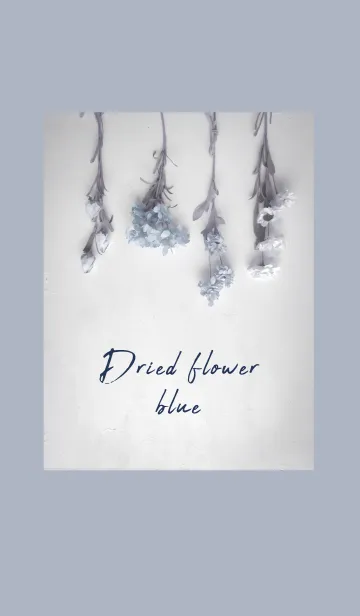 [LINE着せ替え] Dried flower_blue2の画像1