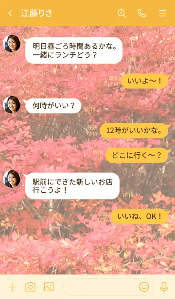 [LINE着せ替え] 開運☆紅葉が幸運を招き金運がアップする。の画像4