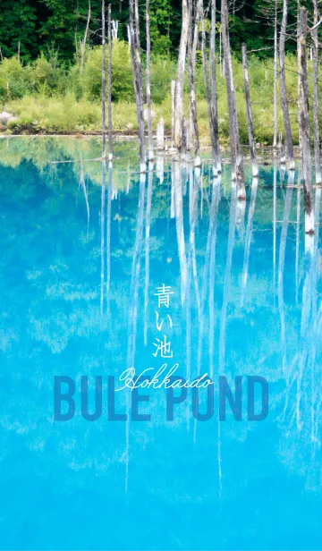 [LINE着せ替え] 神秘的に輝く青い池 美瑛 北海道の画像1