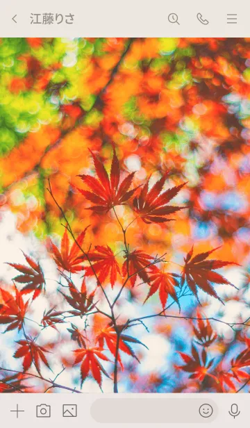 [LINE着せ替え] AutumnMapleの画像3