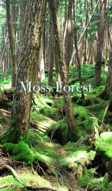 [LINE着せ替え] Moss Forest 2 -MEKYM-の画像1