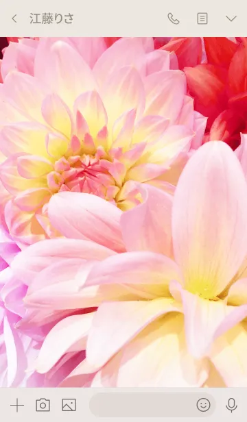 [LINE着せ替え] DAHLIA -flower-の画像3