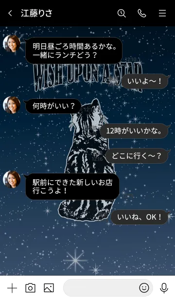 [LINE着せ替え] 星に願いを (猫)の画像4