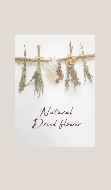 [LINE着せ替え] Natural Dried flower_mixの画像1