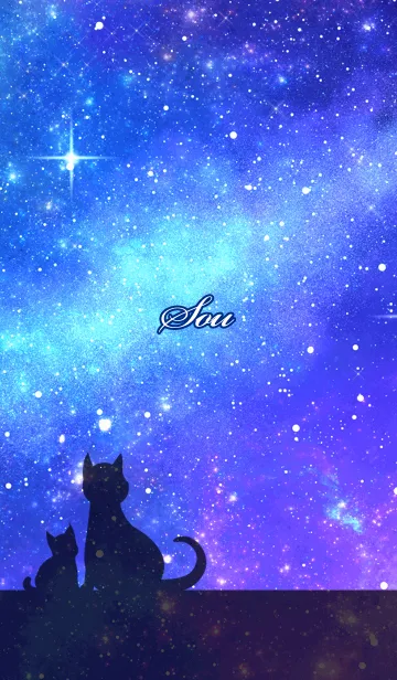 [LINE着せ替え] そう用★星空と猫シルエットの画像1
