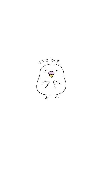 [LINE着せ替え] インコです。(アルビノ)の画像1