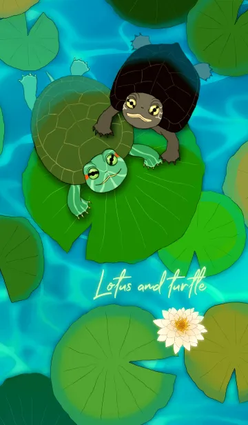 [LINE着せ替え] Lotus and turtle.の画像1