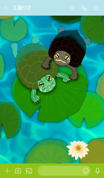 [LINE着せ替え] Lotus and turtle.の画像3