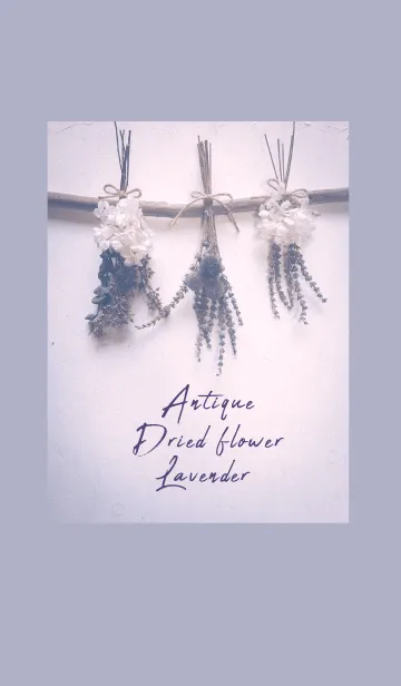 [LINE着せ替え] Antique Dried flower_lavenderの画像1