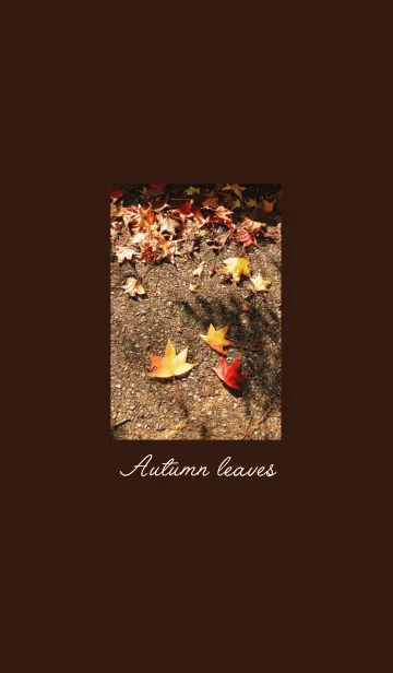 [LINE着せ替え] Autumn leaves -紅葉-の画像1