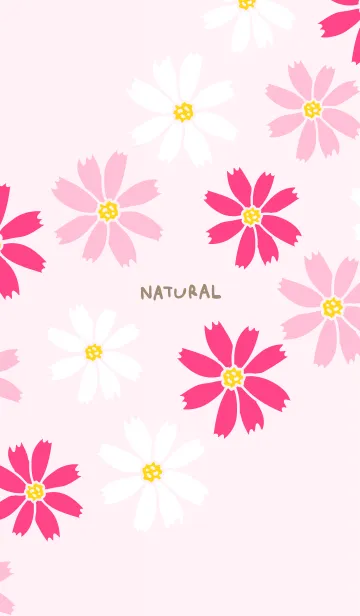 [LINE着せ替え] コスモス ピンク3の画像1