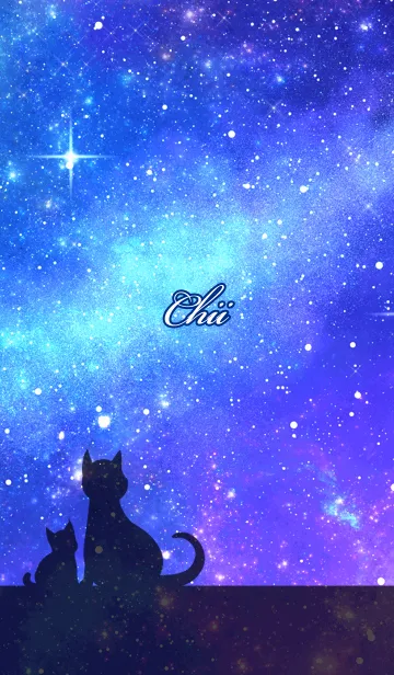 [LINE着せ替え] ちい用★星空と猫シルエットの画像1