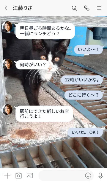 [LINE着せ替え] 野良の子猫の画像4