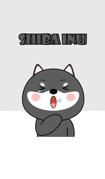[LINE着せ替え] Sleepy Black Shiba Inu Theme (JP)の画像1