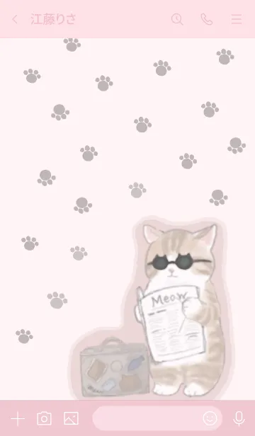 [LINE着せ替え] 旅猫♡フランス編の画像3