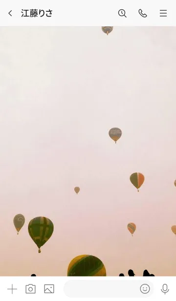 [LINE着せ替え] 大空に飛んでいけの画像3