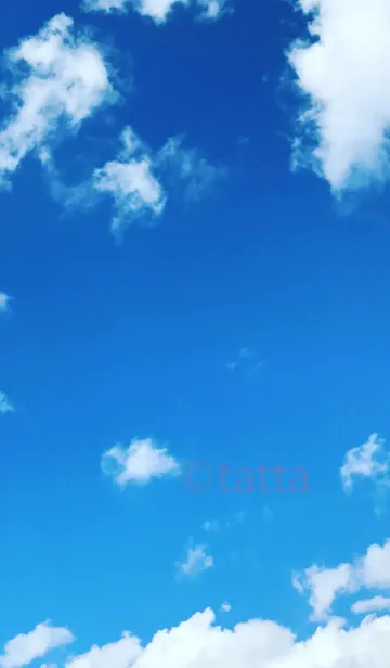 [LINE着せ替え] 青い空に羽ばたきたいの画像1