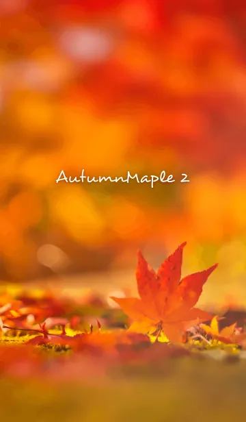 [LINE着せ替え] AutumnMaple 2の画像1