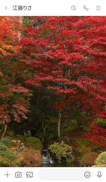 [LINE着せ替え] 紅葉の風景の画像3