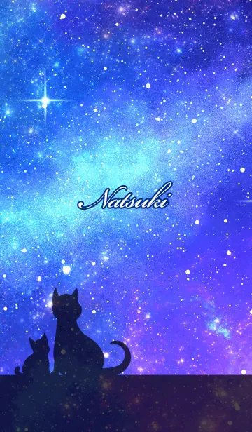 [LINE着せ替え] なつき用★星空と猫シルエットの画像1