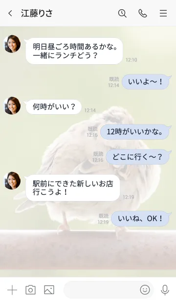 [LINE着せ替え] 鳥のきせかえ2の画像4