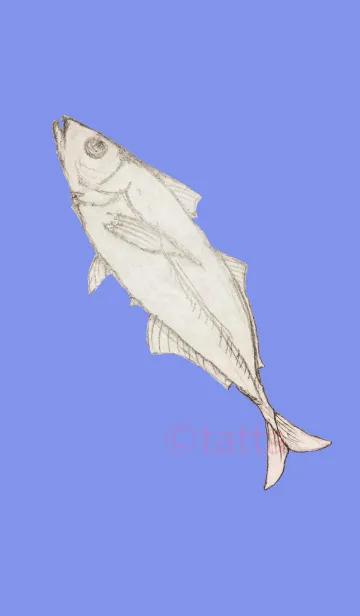 [LINE着せ替え] 魚‗AJIの画像1