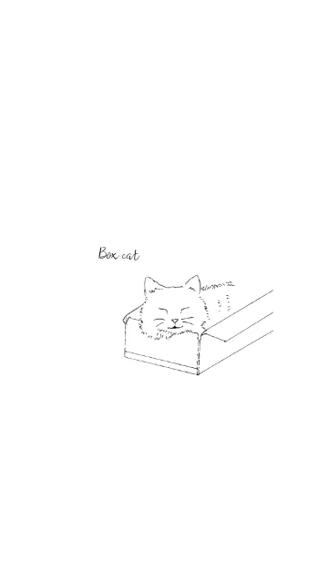 [LINE着せ替え] 箱入りねこの画像1